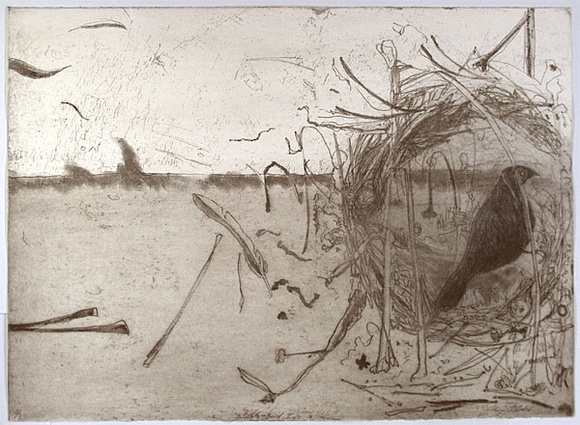 Artist: b'McIntosh, Alison.' | Title: b'Bower bird I' | Date: 1998, November | Technique: b'etching, printed in colour a la poup\xc3\xa9, from one plate'