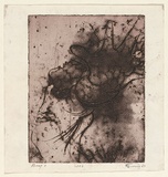 Artist: b'EWINS, Rod' | Title: b'Web.' | Date: 1967 | Technique: b'etching, softground etching and burin engraving, printed in black ink, from one plate'