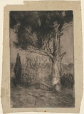 Artist: b'McCubbin, Louis.' | Title: b'Untitled (tree)' | Date: 1915 | Technique: b'etching, printed in black ink, from one plate'