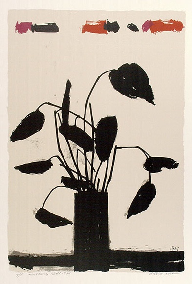 Artist: b'ROSE, David' | Title: b'Mulberry still life' | Date: 1967 | Technique: b'screenprint, printed in colour, from five stencils'