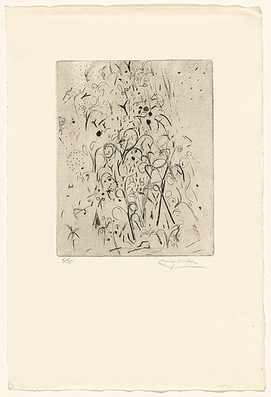 Artist: b'WALKER, Murray' | Title: b'(Landscape)' | Technique: b'etching, printed in black ink, from one plate'