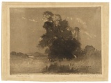 Artist: Hilder, J.J. | Title: Dora Creek | Date: 1918 | Technique: spirit-aquatint and drypoint, printed in brown ink, from one plate | Copyright: Courtesy of the National Library of Australia