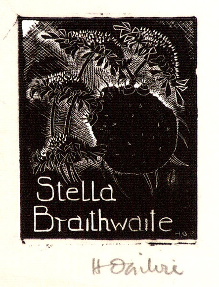 Artist: b'OGILVIE, Helen' | Title: b'not titled [Floral still life - sunflower gone to seed].' | Date: c.1944 | Technique: b'wood-engraving, printed in black ink, from one block'