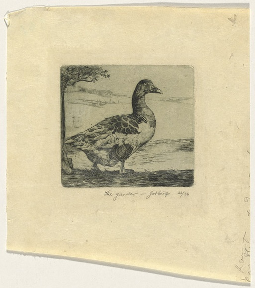 Artist: b'Crisp, James.' | Title: b'The gander.' | Date: 1924 | Technique: b'etching, printed in green ink with plate-tone, from one plate'