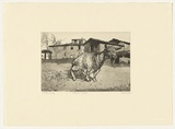 Artist: b'Dunlop, Brian.' | Title: b'Tuscan goat' | Date: 1983 | Technique: b'etching and aquatint, printed in black ink, from one plate'