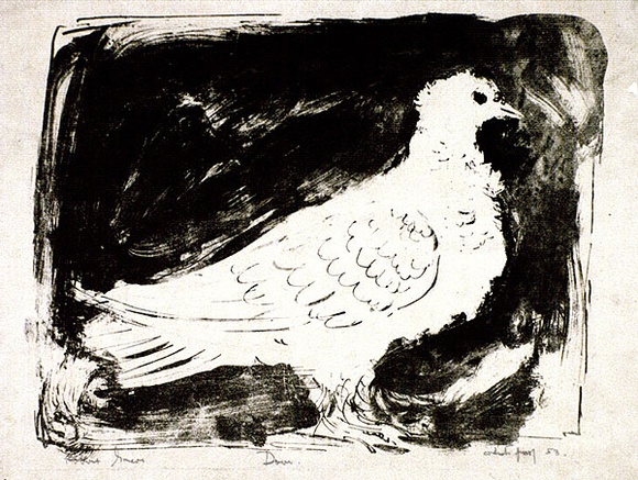 Artist: b'Grieve, Robert.' | Title: b'Dove' | Date: 1953 | Technique: b'lithograph, printed in black ink, from one zinc plate'