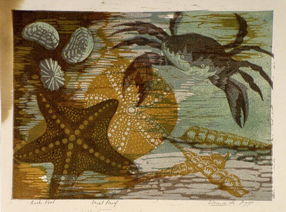 Artist: b'Higgs, Florence.' | Title: b'Rock pool' | Date: c.1956 | Technique: b'linocut, printed in colour, from four blocks'