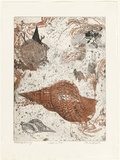 Artist: b'GRIFFITH, Pamela' | Title: bNeptune's triton | Date: 1981 | Technique: b'etching, aquatint printed in colour from two zinc plates' | Copyright: b'\xc2\xa9 Pamela Griffith'