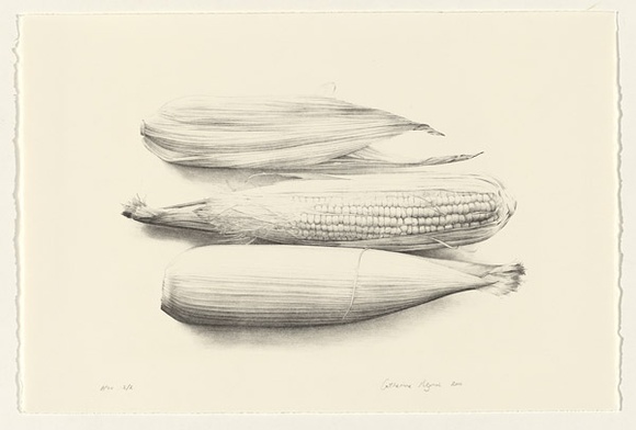 Artist: b'Pilgrim, Catherine.' | Title: b'not titled [sweetcorn]' | Date: 2000 | Technique: b'lithograph, printed in black ink, from one stone'