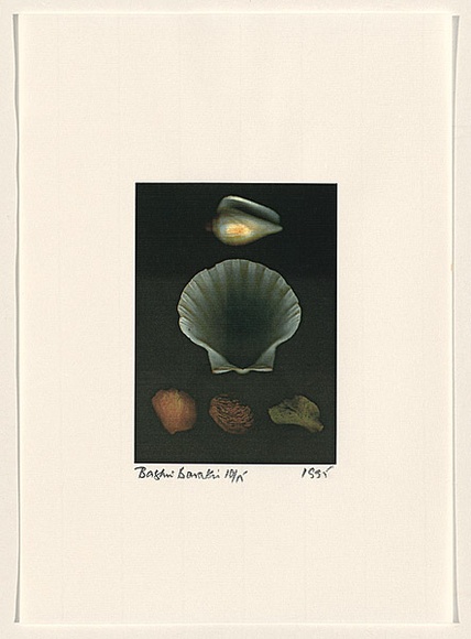 Title: b'Rococo Recollections [14]' | Date: 1995 | Technique: b'electrostatic print, printed from a Canon colour laser copier, from collaged elements'