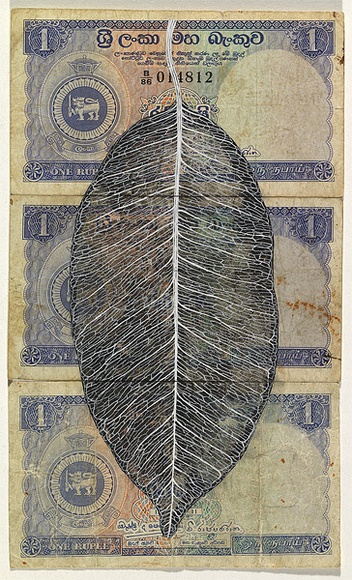 Artist: b'HALL, Fiona' | Title: b'Mimusops elengi - Munamal (Sri Lankan currency)' | Date: 2000 - 2002 | Technique: b'gouache' | Copyright: b'\xc2\xa9 Fiona Hall'