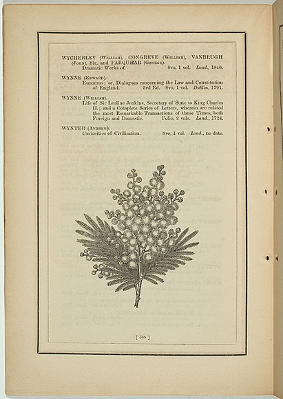 Title: b'not titled [acacia mollissima].' | Date: 1861 | Technique: b'woodengraving, printed in black ink, from one block'