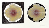 Artist: EWINS, Rod | Title: Sea flower. | Date: 1974 | Technique: photo-etching, relief photo-etching