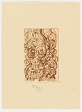 Artist: Poulson, Peggy Napururrla. | Title: Yala | Date: 2004 | Technique: drypoint etching, printed in brown ink, from one perspex plate