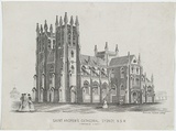 Title: St. Andrew's Cathedral, Sydney N.S.W. | Date: c.1856 | Technique: etching, printed in black ink, from one copper plate