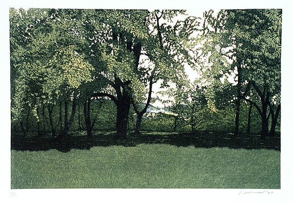 Artist: b'Greenwood, Phil.' | Title: b'Branscombe remembered' | Date: 1977 | Technique: b'aquatint, printed in colour'