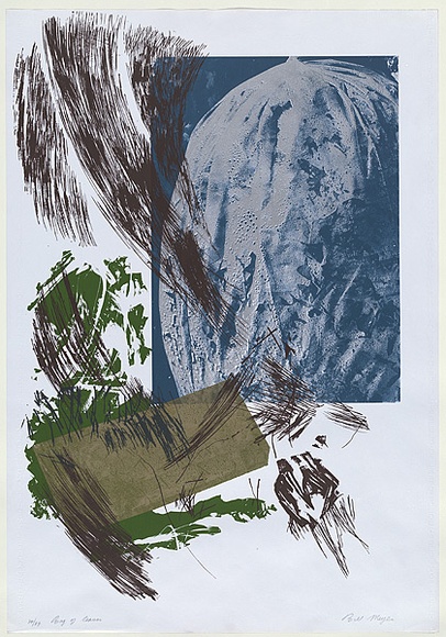 Artist: MEYER, Bill | Title: Bag of leaves | Date: 1979-1981 | Technique: screenprint, printed in eight colours, from multiple screens (including photographic duo tones) | Copyright: © Bill Meyer