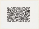 Artist: Doctor Wilfred, Judy. | Title: Turtle | Date: c.2001 | Technique: linocut, printed in black ink, from one block