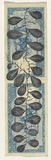 Artist: HALL, Fiona | Title: Drymoglossum heterophyllum (Burmese currency) | Date: 2000 - 2002 | Technique: gouache | Copyright: © Fiona Hall
