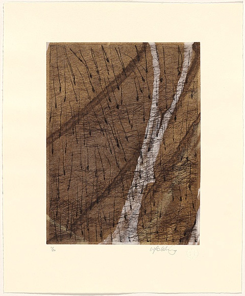 Artist: b'Jobling, Winsome.' | Title: b'The wet.' | Date: 2006 | Technique: b'etching, printed in colour, from six plates'