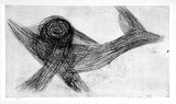 Artist: Sharp, James. | Title: (Bird) | Date: 1965 | Technique: etching and foul biteing, printed in black ink with plate-tone, from one plate | Copyright: © Estate of James Sharp