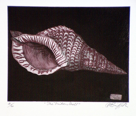 Artist: b'GRIFFITH, Pamela' | Title: b'The triton shell' | Date: 1981 | Technique: b'etching, printed in black ink, from one plate' | Copyright: b'\xc2\xa9 Pamela Griffith'