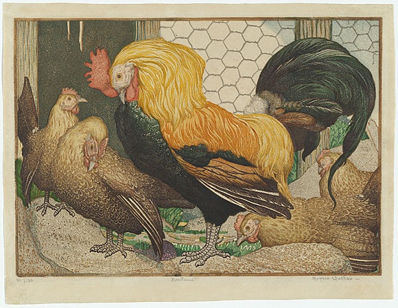 Artist: b'Waller, M. Napier.' | Title: b'Bantams.' | Date: c.1932 | Technique: b'linocut, printed in colour, from multiple blocks'