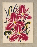 Artist: Palmer, Ethleen. | Title: (Orchids) | Date: c.1955 | Technique: screenprint, printed in colour, from multiple stencils