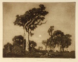 Artist: b'LINDSAY, Lionel' | Title: b'Summer moon, Wahroonga, Sydney' | Date: 1925 | Technique: b'aquatint and burnishing, printed in brown ink, from one plate' | Copyright: b'Courtesy of the National Library of Australia'