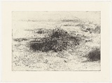 Artist: Mortensen, Kevin. | Title: not titled [landscape] | Date: 2005 | Technique: etching, printed in black ink, from one copper plate | Copyright: © Kevin Mortensen