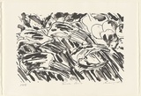 Artist: b'Lee, Graeme.' | Title: b'Tusche lamb' | Date: 1997, April | Technique: b'lithograph, printed in black ink, from one stone'