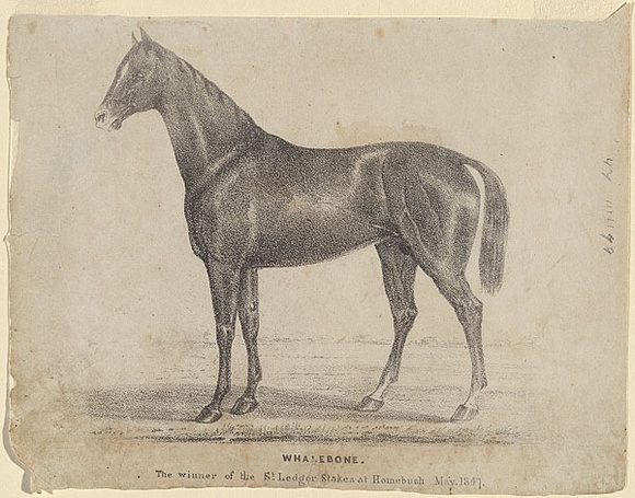 Artist: b'Winstanley, Edward W.' | Title: b'Whalebone. The winner of the St Leger Stakes at Homebush, May 1847.' | Date: 1847 | Technique: b'lithograph, printed in black ink, from one stone'