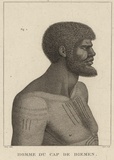 Title: b'Homme du Cap de Diemen' | Date: 1811 | Technique: b'engraving, printed in black ink, from one plate'