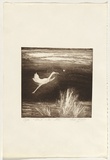 Artist: Lempriere, Helen | Title: Bird and the star | Date: 1960s | Technique: softground-etching, printed in black ink, from one plate