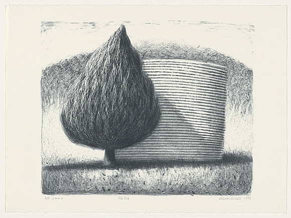 Artist: b'Russell,, Deborah.' | Title: b'The tank' | Date: 1988 | Technique: b'lithograph, printed in blue ink, from one plate'