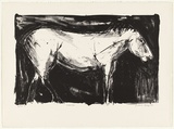 Artist: Balsaitis, Jonas. | Title: Horse | Date: 1982 | Technique: lithograph, printed in black ink, from one stone | Copyright: © Yvonne Boag