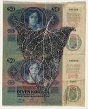 Artist: HALL, Fiona | Title: Chenopodium bonus henricus - Good King Henry chenopod (Hungarian currency) | Date: 2000 - 2002 | Technique: gouache | Copyright: © Fiona Hall