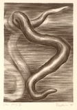 Artist: Weiss, Rosie. | Title: not titled [curved form] | Date: 1988 | Technique: lithograph, printed in black ink, from one stone