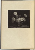 Artist: LINDSAY, Lionel | Title: Zinnias | Date: 1924 | Technique: woodengraving, printed in black ink, from one block | Copyright: Courtesy of the National Library of Australia