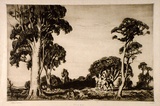 Artist: b'LINDSAY, Lionel' | Title: b'Evening ride' | Date: 1925 | Technique: b'drypoint, printed in brown ink with plate-tone, from one plate' | Copyright: b'Courtesy of the National Library of Australia'