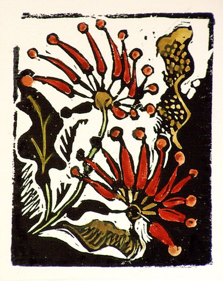 Artist: b'OGILVIE, Helen' | Title: b'Greeting card: Christmas' | Date: 1986 | Technique: b'linocut, printed in black ink, from one block; hand-coloured'