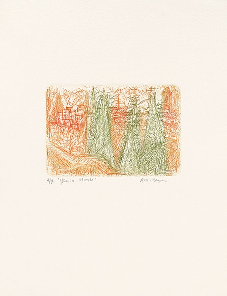 Artist: b'MEYER, Bill' | Title: b'Yemin Moshe' | Date: 1992 | Technique: b'etching, printed in orange and green ink a la poup\xc3\xa9e, from one zinc plate' | Copyright: b'\xc2\xa9 Bill Meyer'