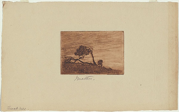 Artist: b'Mather, John.' | Title: b'Sheoak Hill.' | Date: 1898 | Technique: b'etching, printed in brown ink with plate-tone, from one plate'