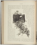 Title: Manly wild flower show. | Date: 1886 | Technique: wood-engravings, printed in black ink, from one block