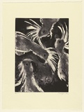 Artist: b'Law, Roger.' | Title: b'(Cockies)' | Date: 2003 | Technique: b'aquatint, printed in sepia ink, from one plate'