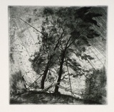 Artist: b'FEINT, Adrian' | Title: b'(Trees).' | Date: 1980 | Copyright: b'Courtesy the Estate of Adrian Feint'