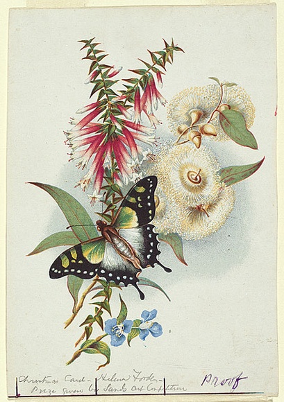 Artist: b'John Sands.' | Title: b'Design for a Christmas card with Australian wild flowers.' | Date: c.1878 | Technique: b'lithograph, printed in colour, from multiple stones'