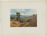 Artist: Chevalier, Nicholas. | Title: Dargo Valley, Gippsland | Date: 1865 | Technique: lithograph, printed in colour, from multiple stones