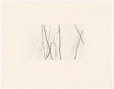 Artist: b'MOSS, Damian' | Title: b'Trees 1' | Date: 2004 | Technique: b'etching, printed in black ink, from one plate'