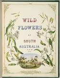 Artist: b'De Mole, Fanny.' | Title: b'Title page: Wild flowers of South Australia.' | Date: 1861 | Technique: b'lithograph, printed in black ink, from one stone; hand-coloured'